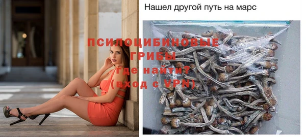 круглые Алзамай