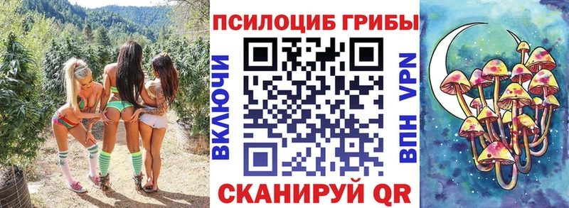 Псилоцибиновые грибы Magic Shrooms  Петровск-Забайкальский 